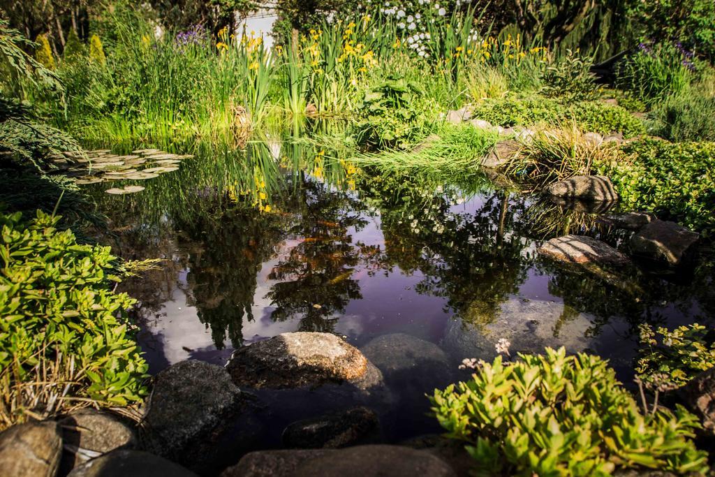Willa Bartek Ciechocinek Exteriér fotografie